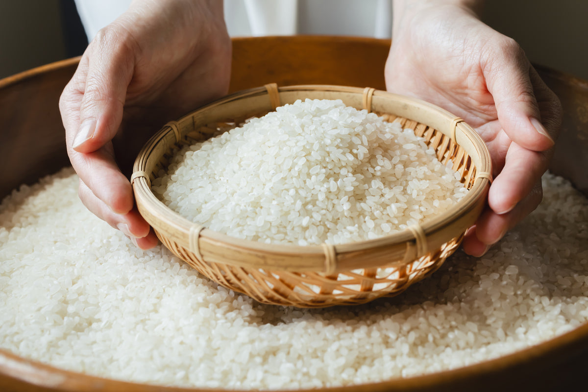Rice is an ancient grain ingredient used in Jadu Beauty products.