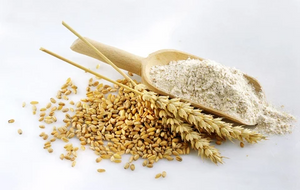 Wheat Protein